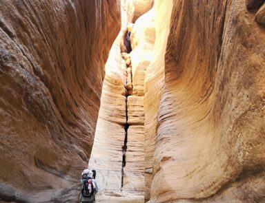 12_Wadi_Numeira_Siq_Trail_-_In_the_Siq_-_panoramio